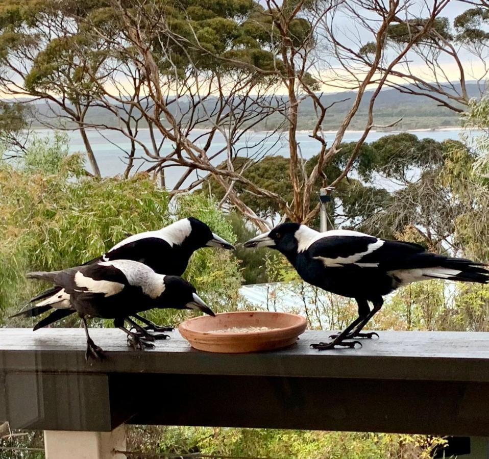 The River Suites, Kangaroo Island American River Extérieur photo