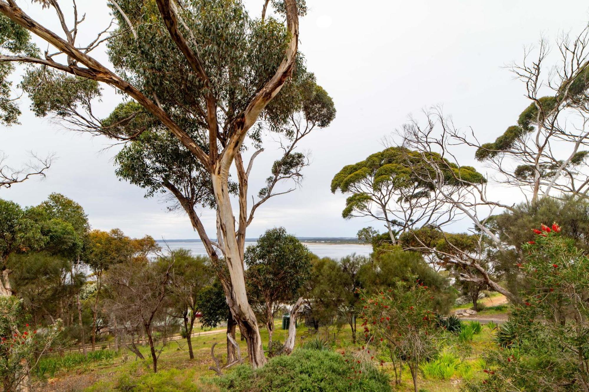 The River Suites, Kangaroo Island American River Extérieur photo